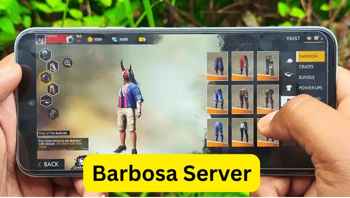 What is Barbosa Server?